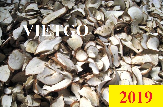 Đơn hàng Cả Năm - Cơ hội xuất khẩu Sắn Lát sang thị trường Trung Quốc