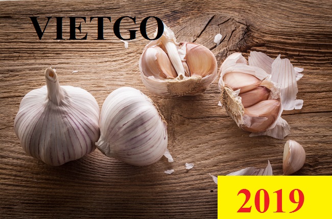 Đơn hàng Cả Năm - Cơ hội xuất khẩu Tỏi tươi sang thị trường Ấn Độ