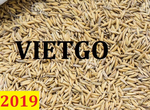 (Cập nhật lần 1) Cơ hội giao thương – Đơn hàng hàng tháng - Cơ hội xuất khẩu Thóc đến Lybia