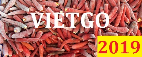 (Cập nhật lần 1) Cơ hội giao thương – Đơn đặc biệt hàng thường xuyên - Cơ hội xuất khẩu 1 cont 20ft Ớt tươi đông lạnh