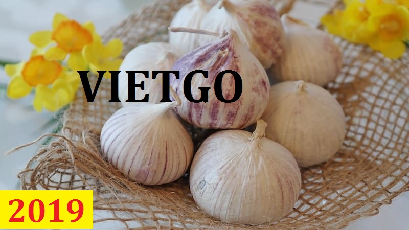 Cơ hội giao thương  – Đơn hàng Thường Xuyên - Cơ hội xuất khẩu Tỏi Tươi sang thị trường Bangladesh