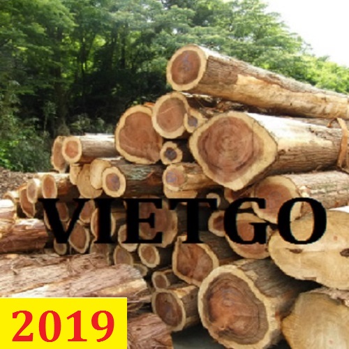 Cơ hội giao thương – Đơn hàng thường xuyên - Cơ hội xuất khẩu Gỗ Teak tròn sang Dubai