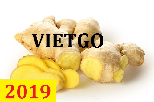 Cơ hội giao thương – Đơn hàng Thường Xuyên - Cơ hội xuất khẩu Gừng Tươi sang thị trường Bangladesh