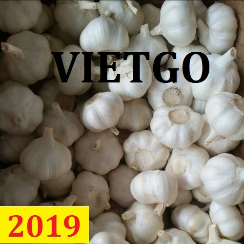 ​Cơ hội giao thương – Đơn hàng Thường Xuyên - Cơ hội xuất khẩu Tỏi Tươi sang thị trường Bangladesh