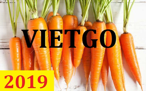 Cơ hội giao thương – Đơn hàng Thường Xuyên - Cơ hội xuất khẩu Cà Rốt sang thị trường Oman