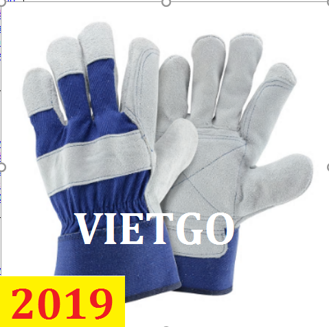 Cơ hội giao thương – đơn hàng thường xuyên - Thương nhân đến từ công ty Trung Quốc cần nhập khẩu số lượng lớn găng tay đến Mỹ
