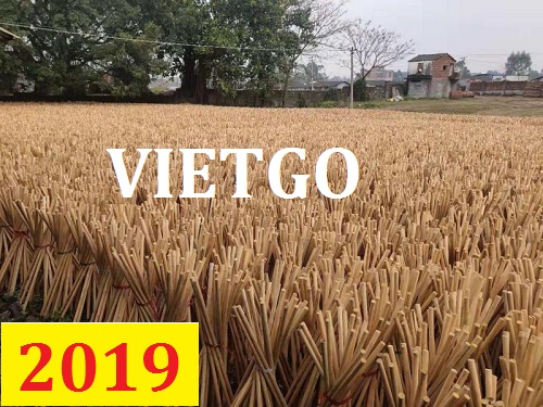 Cơ hội giao thương – Đơn hàng thường xuyên - Cơ hội xuất khẩu Cán chổi làm từ gỗ bạch đàn  sang Ai Cập