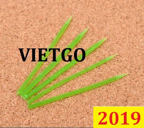 Cơ hội giao thương Đặc biệt Thường Xuyên – Không thể bỏ lỡ cơ hội xuất khẩu Tăm xỉa răng bột bắp đến từ vị khách Hàn Quốc