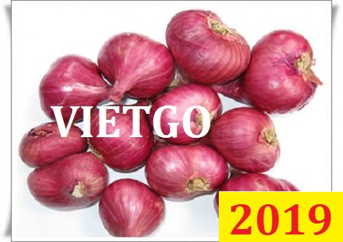 Cơ hội giao thương– Đơn hàng đặc biệt thường xuyên - Cơ hội xuất khẩu 300 tấn hành tím sang Tây Phi.