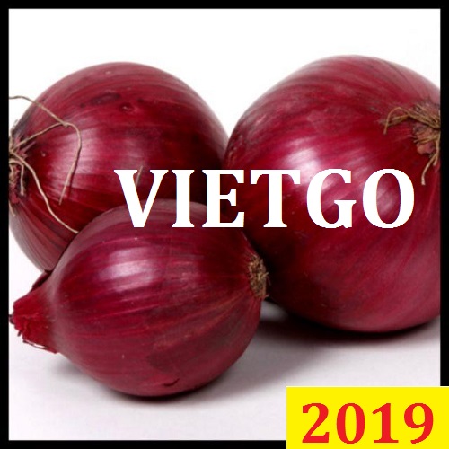 Cơ hội giao thương Đặc Biệt  – Đơn hàng Thường Xuyên - Cơ hội xuất khẩu Hành Tây  sang thị trường Dubai