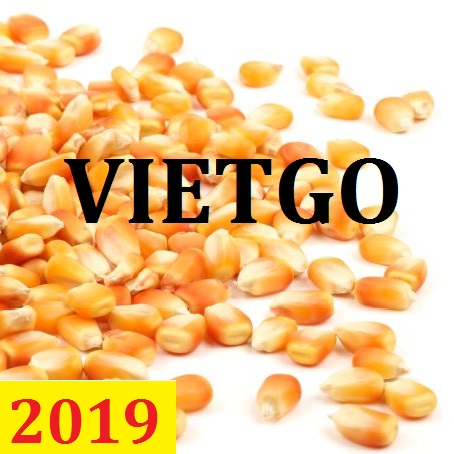 Cơ hội giao thương  – Đơn hàng Thường Xuyên - Cơ hội xuất khẩu Ngô Hạt sang thị trường Philippine