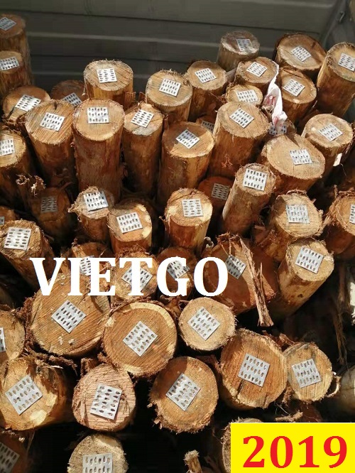 Cơ hội giao thương đặc biệt – Đơn hàng thường xuyên - Cơ hội xuất khẩu Gỗ bạch đàn tròn sang Trung Quốc