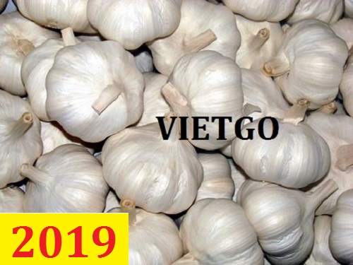 (Rất Gấp) Cơ hội giao thương – Đơn hàng Thường Xuyên - Cơ hội xuất khẩu Tỏi Tươi sang thị trường Ấn Độ
