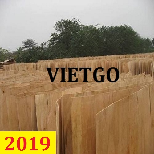 (Cập nhật lần 1) Cơ hội giao thương – Đơn hàng thường xuyên - Cơ hội xuất khẩu Ván bóc gỗ bạch đàn và gỗ keo