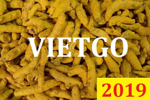 Cơ hội giao thương Đặc Biệt  – Đơn hàng Thường Xuyên  - Cơ hội xuất khẩu Nghệ Khô sang thị trường Ấn Độ
