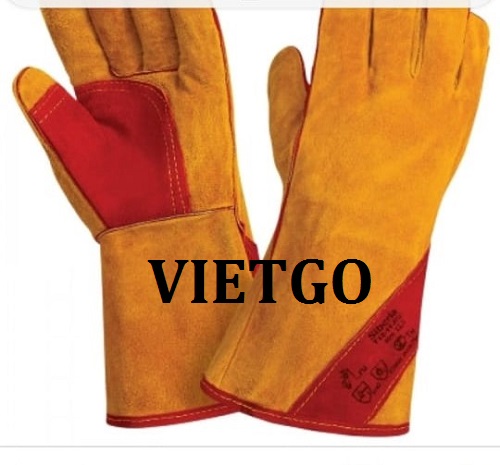 (Cập nhật lần 1) –  Đơn hàng Gấp - Cơ hội xuất khẩu găng tay lao động đến thị trường Nga
