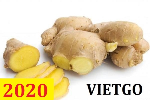 (Cập nhật lần 1) Cơ hội giao thương – Đơn hàng thường xuyên liên tục – Cơ hội xuất khẩu gừng sang thị trường Bangladesh.