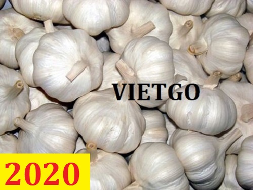 (Cập nhật lần 1) Cơ hội giao thương – Đơn hàng thường xuyên liên tục – Cơ hội xuất khẩu tỏi sang thị trường Bangladesh.