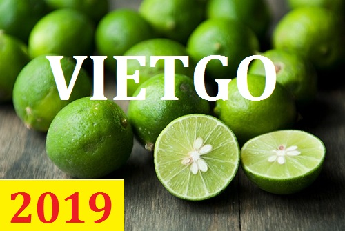Cơ hội giao thương – Đơn hàng Thường Xuyên - Cơ hội xuất khẩu Chanh xanh sang thị trường UAE