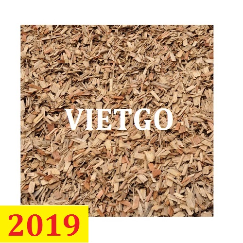 (Cập nhập lần 1) Cơ hội giao thương thường xuyên - Đơn hàng xuất khẩu gỗ vụn bạch đàn cho vị khách hàng đến từ Hàn Quốc