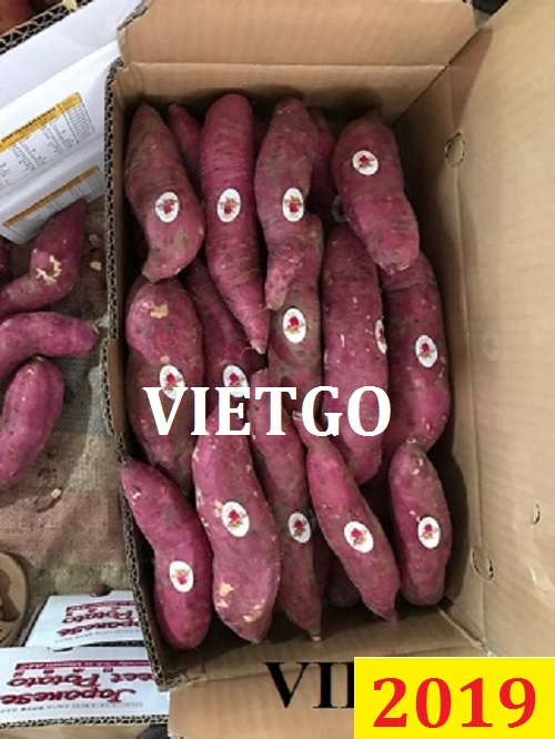 (Cập nhật lần 1) Cơ hội giao thương Đặc biệt – Đơn hàng thường xuyên - Cơ hội xuất khẩu 1 cont 20ft khoai lang hàng tháng
