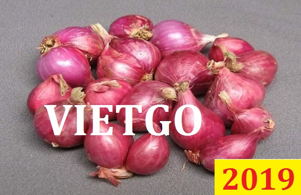 Cơ hội giao thương Đặc Biệt  - Đơn hàng Thường Xuyên - Cơ hội xuất khẩu Hành tươi sang thị trường Brunei