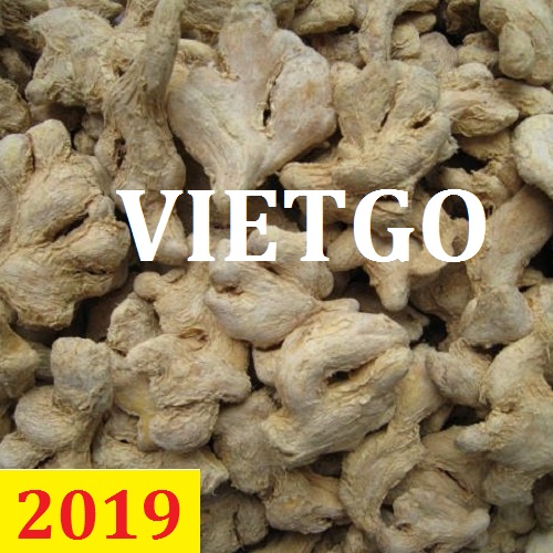 Cơ hội giao thương  – Đơn hàng Thường Xuyên - Cơ hội xuất khẩu Gừng Khô sang thị trường Pakistan