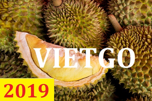Cơ hội giao thương – Đơn hàng Thường Xuyên - Cơ hội xuất khẩu Sầu Riêng sang thị trường Indonesia