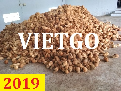 Cơ hội giao thương  – Đơn hàng Thường Xuyên  - Cơ hội xuất khẩu dừa sang thị trường Ấn Độ