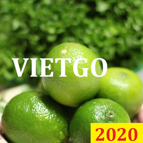 Cơ hội giao thương Đặc Biệt  – Đơn hàng Cả Năm - Cơ hội xuất khẩu Chanh Xanh sang thị trường Malaysia