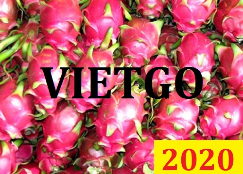 Cơ hội giao thương Đặc Biệt  – Đơn hàng Cả Năm - Cơ hội xuất khẩu Thanh Long sang thị trường Dubai