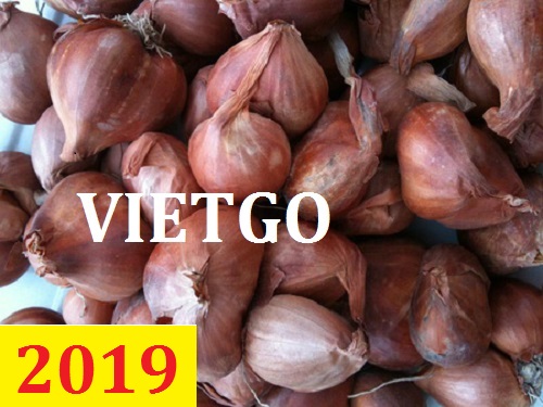 Cơ hội giao thương  – Đơn hàng Thường Xuyên - Cơ hội xuất khẩu Hành Khô sang thị trường Ấn Độ