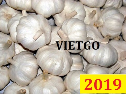 (Cập nhật lần 1) Cơ hội giao thương – Đơn hàng đặc biệt thường xuyên – Cơ hội xuất khẩu tỏi sang thị trường Dubai.