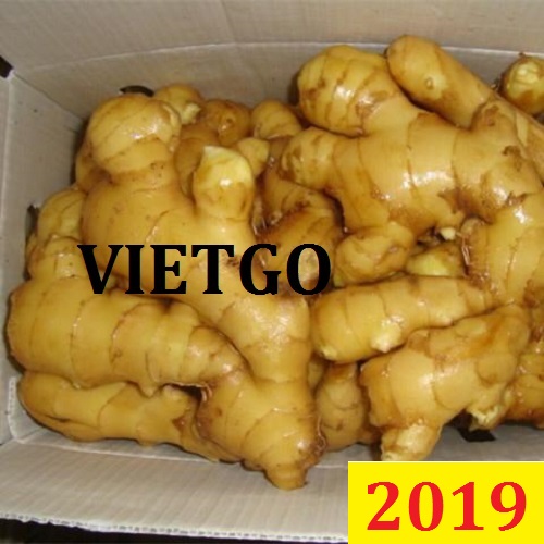 (Cập nhật lần 1) Cơ hội giao thương – Đơn hàng đặc biệt thường xuyên– Cơ hội xuất khẩu gừng sang thị trường Dubai.