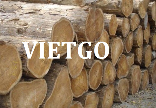 Cơ hội giao thương - Cơ hội xuất khẩu Gỗ teak tròn số lượng lớn đến từ vị khách hàng người Úc