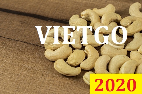 Cơ hội giao thương Đặc Biệt  – Đơn hàng Cả Năm - Cơ hội xuất khẩu Hạt Điều sang thị trường Ấn Độ
