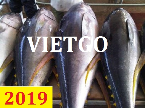 (Gấp) Cơ hội giao thương – Đơn hàng Thường Xuyên – Cơ hội xuất khẩu Cá ngừ ướp lạnh sang hai thị trường Nhật Bản và Hàn Quốc