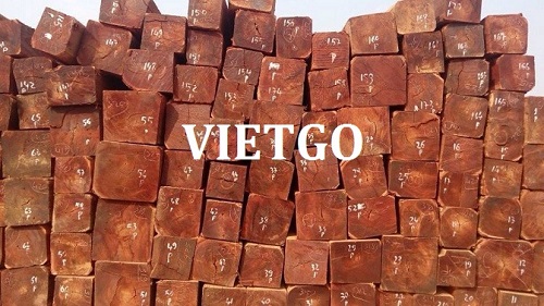 Cơ hội giao thương – Cơ hội xuất khẩu Gỗ Căm xe xẻ sang thị trường Ấn Độ