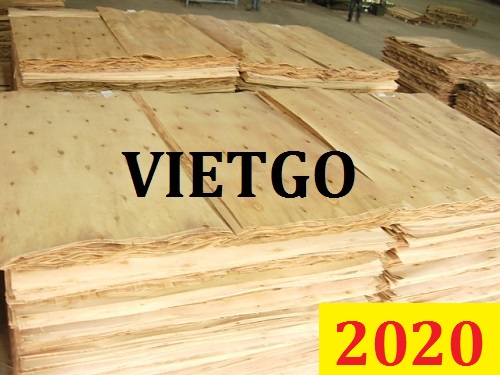 (Cập nhập lần 1) Cơ hội giao thương ĐẶC BIỆT - Đơn hàng thường xuyên - Cơ hội xuất khẩu Ván bóc sang Ai Cập