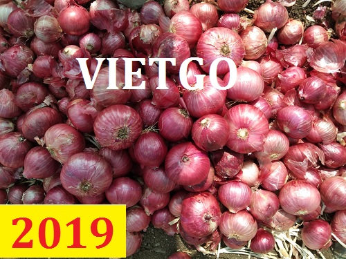 (Cập nhật lần 1) Đơn hàng thường xuyên - Cơ hội xuất khẩu hành tím sang thị trường Malaysia