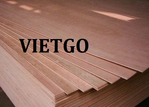 Cơ hội giao thương - Cơ hội xuất khẩu Gỗ dán sang Hàn Quốc