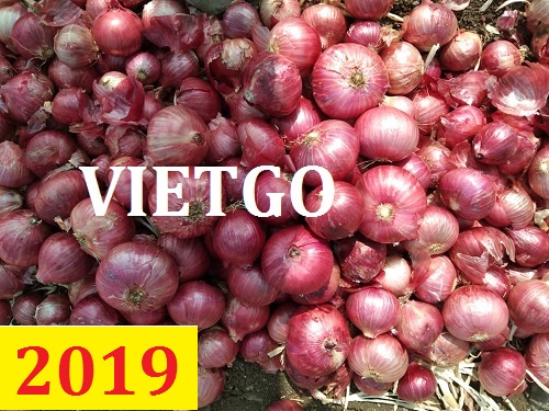 (Cập nhật lần 1) Đơn hàng thường xuyên - Cơ hội xuất khẩu hành tím sang thị trường Sri Lanka