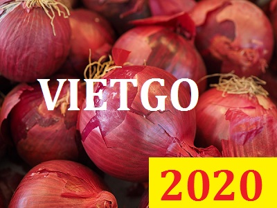 Cơ hội giao thương Đặc Biệt  – Đơn hàng Cả Năm - Cơ hội xuất khẩu Hành Tây sang thị trường Ấn Độ