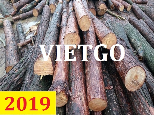 (Cập nhật lần 1) Cơ hội giao thương – Đơn hàng thường xuyên- Cơ hội xuất khẩu gỗ thông tròn cho vị khách đến từ Ấn Độ