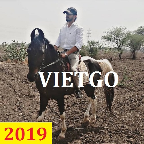 Cơ hội giao thương – Đơn hàng thường xuyên – Cơ hội xuất khẩu Gỗ keo xẻ sang Ấn Độ