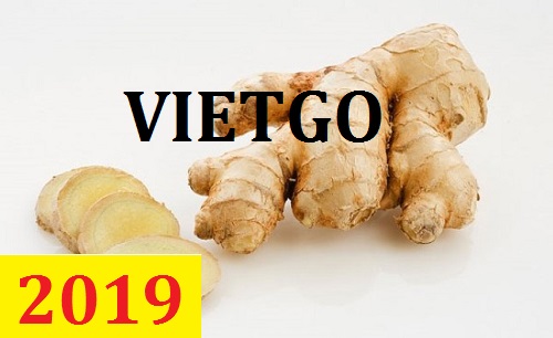 Cơ hội giao thương – Đơn hàng thường xuyên – Cơ hội xuất khẩu gừng tươi từ Việt Nam sang thị trường Qatar