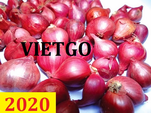 Cơ hội giao thương  – Đơn hàng Cả Năm - Cơ hội xuất khẩu Hành Khô sang thị trường Malaysia