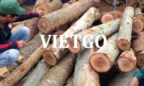 Cơ hội giao thương - Cơ hội xuất khẩu Gỗ bạch đàn tròn sang UAE