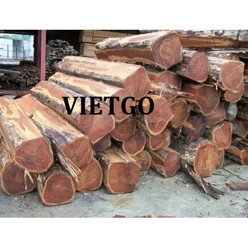Cơ hội giao thương - Cơ hội xuất khẩu Gỗ teak xẻ hộp sang Bangladesh