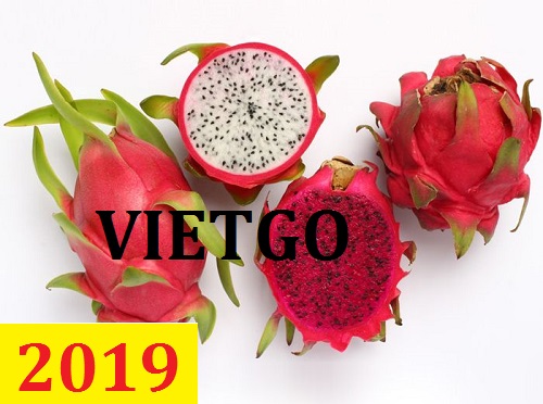 Cơ hội giao thương – Đơn hàng thường xuyên – Cơ hội xuất khẩu thanh long từ Việt Nam sang thị trường Qatar